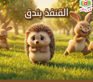 M القنفذ بندق 360x320